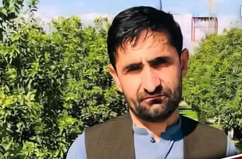 Read more about the article یک تن از کارمندان بخش امنیتی دفتر سازمان جهانی صحت در ننگرهار به قتل رسید